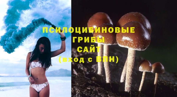 Альфа ПВП Сафоново